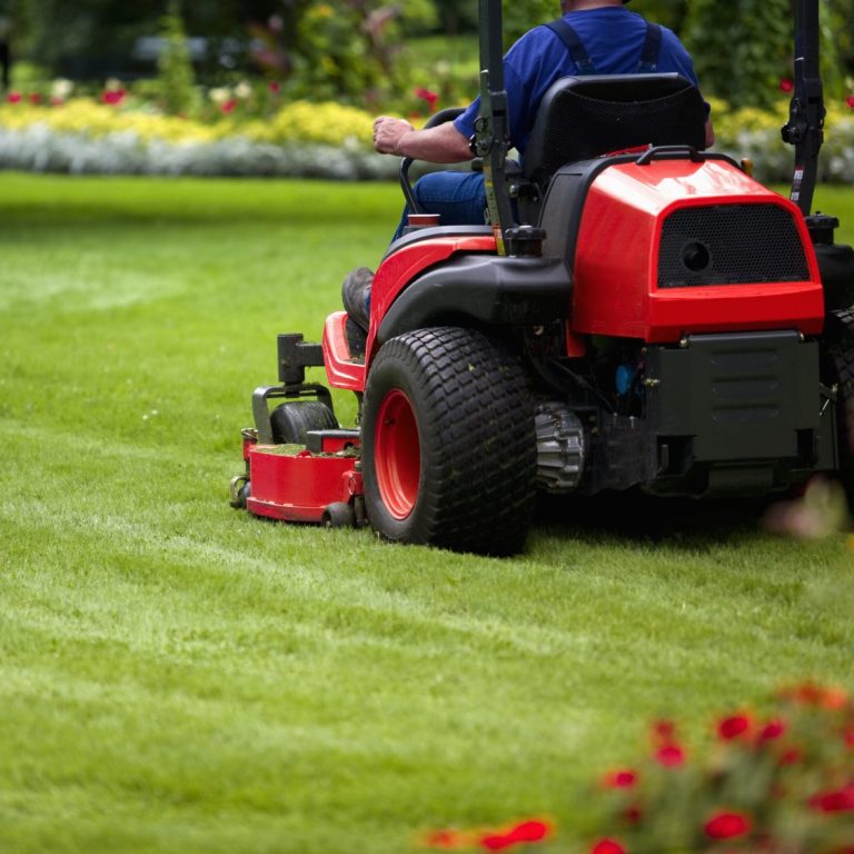 Lawn Mowing